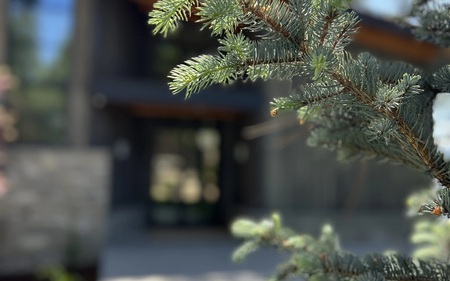 Exterior of the Modern Elegance custom home near McCall, showing the surrounding forest.